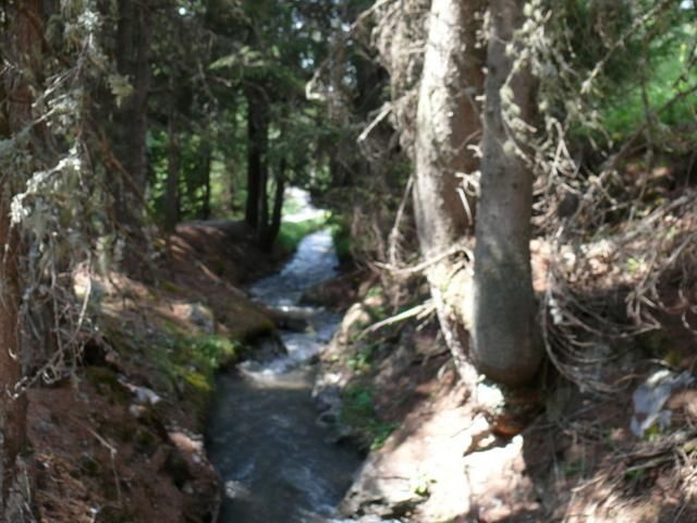 EauVive
Photos d'eau
Jean Reignier