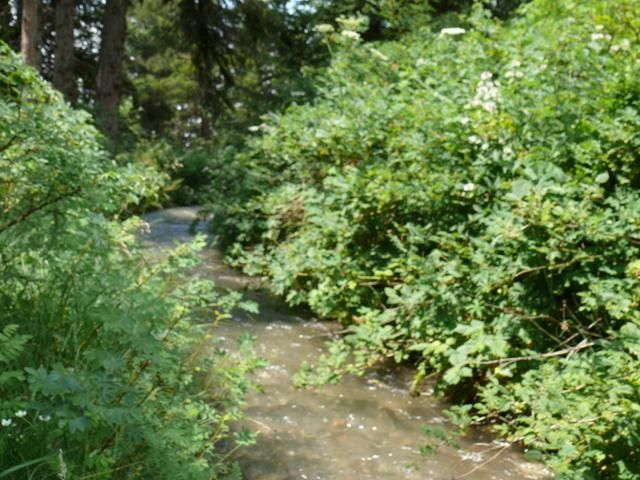 EauVive
Photos d'eau
Jean Reignier