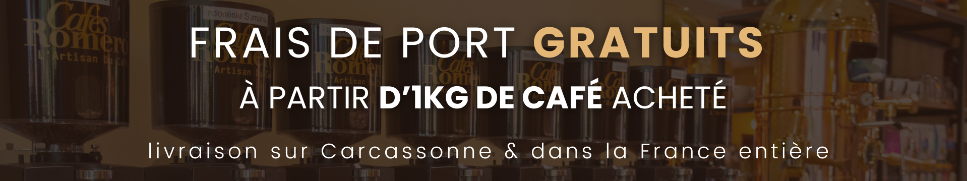 Promotion frais de port gratuits