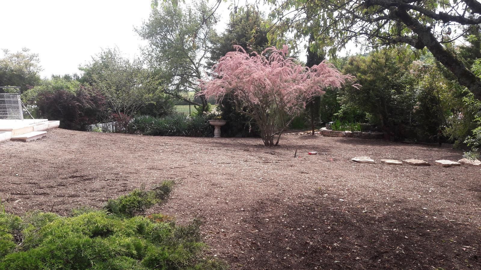 Jardin avec arbre rose au centre