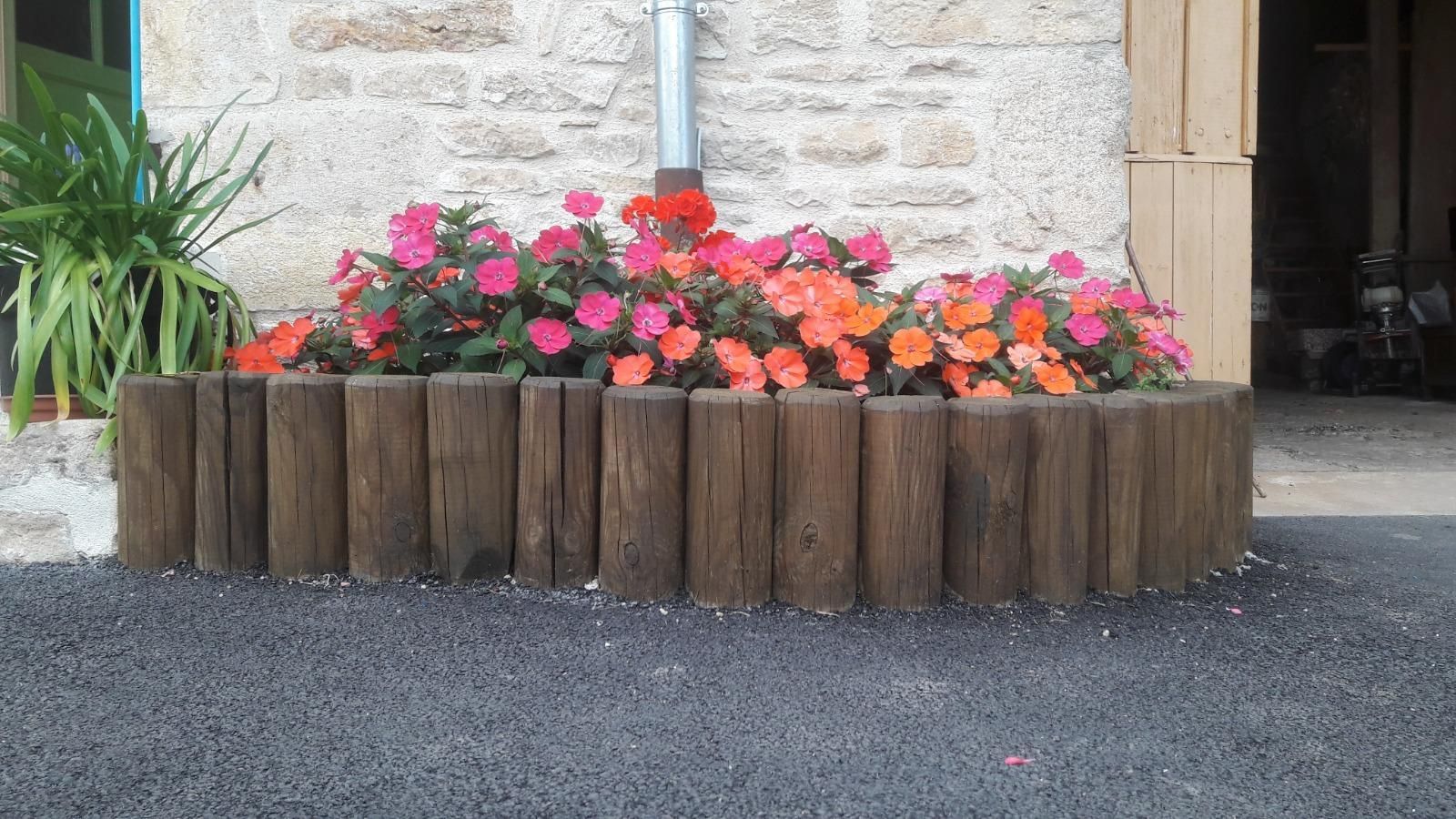 Des plantes entourées par des rondins de bois