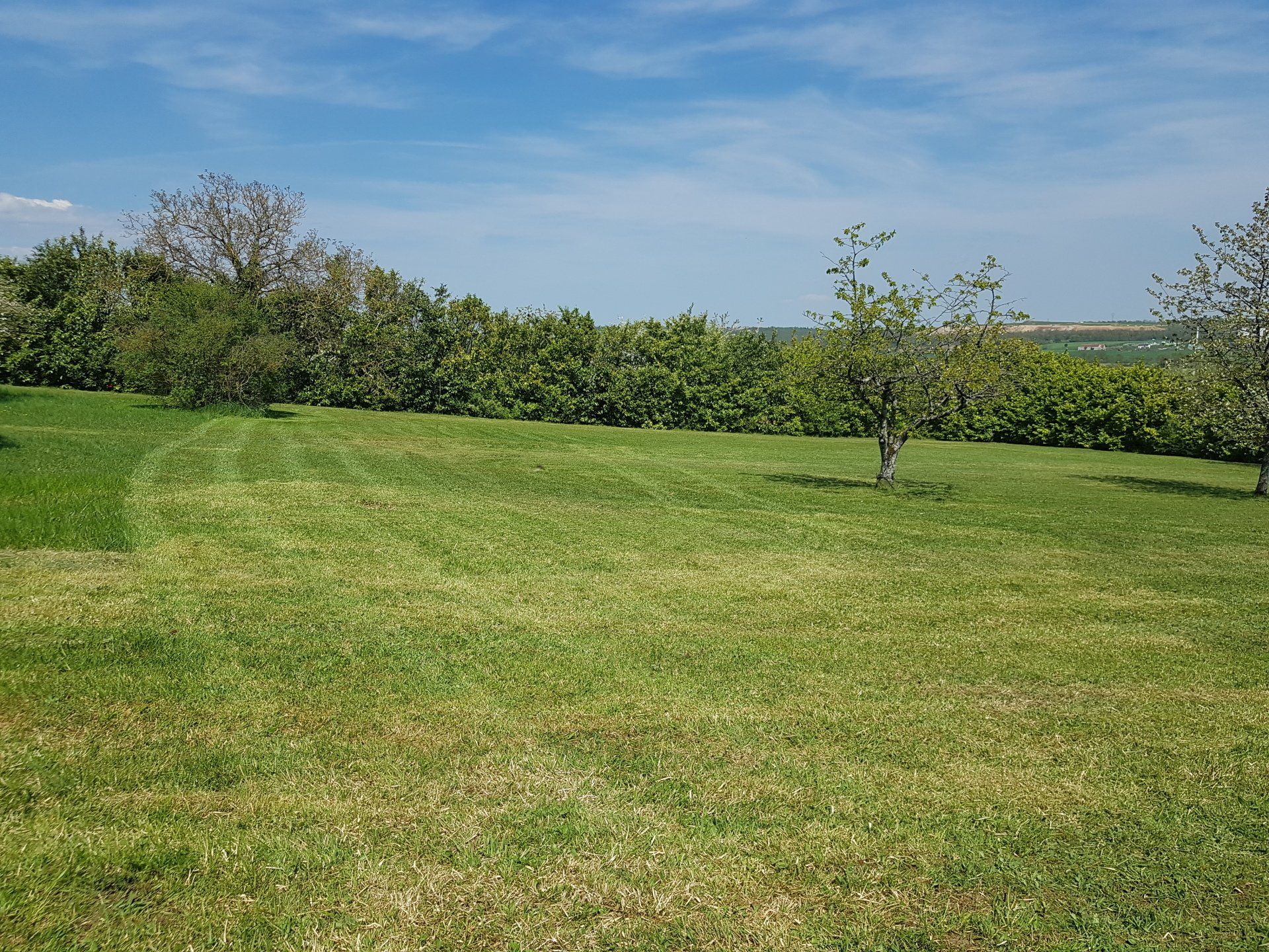 Un grand jardin tondu