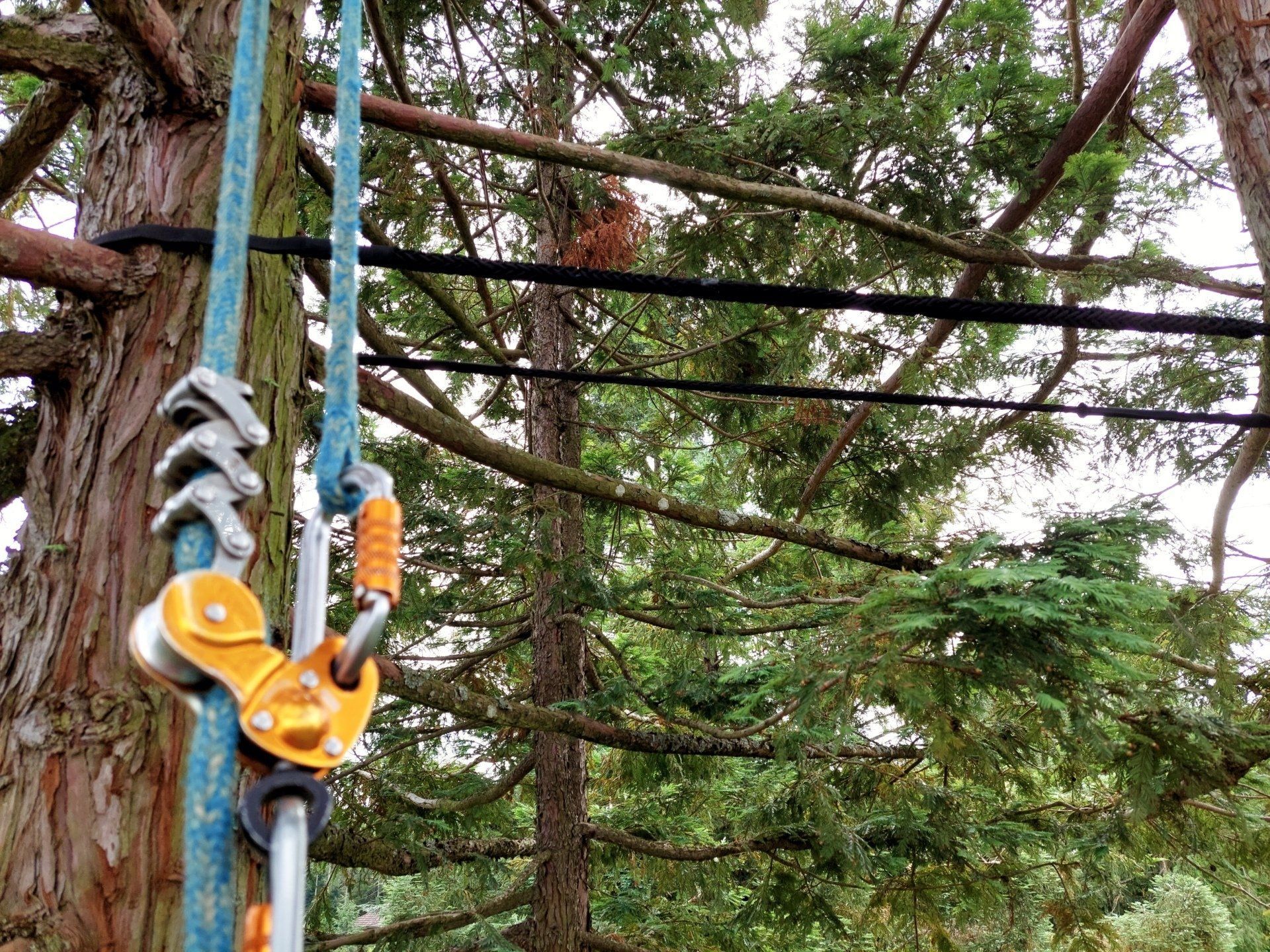 Notre équipement d'élagage