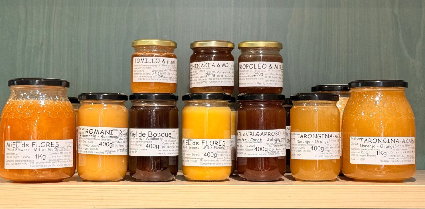 Frascos variados de conservas y salsas caseras dispuestos sobre una mesa con fondo blanco.