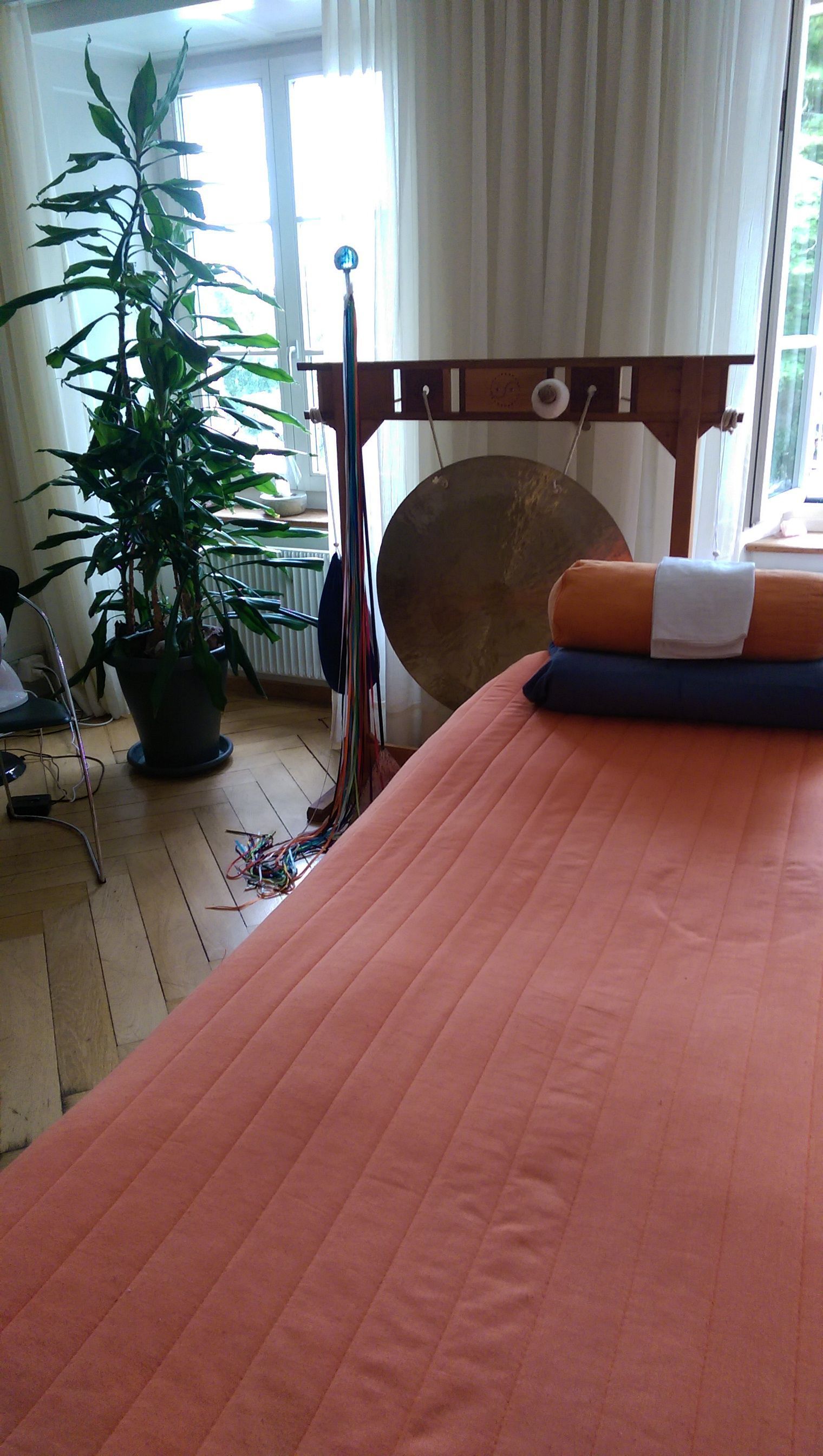 Praxisraum Solothurn - Kinesiologie Manuela Kühne