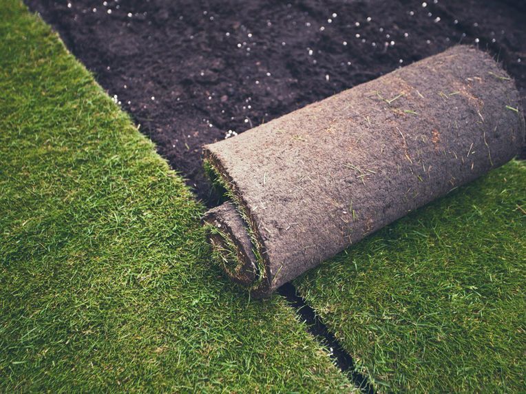 Auf einem üppigen grünen Rasen liegt eine Rasenrolle. Foto von GrünEcke