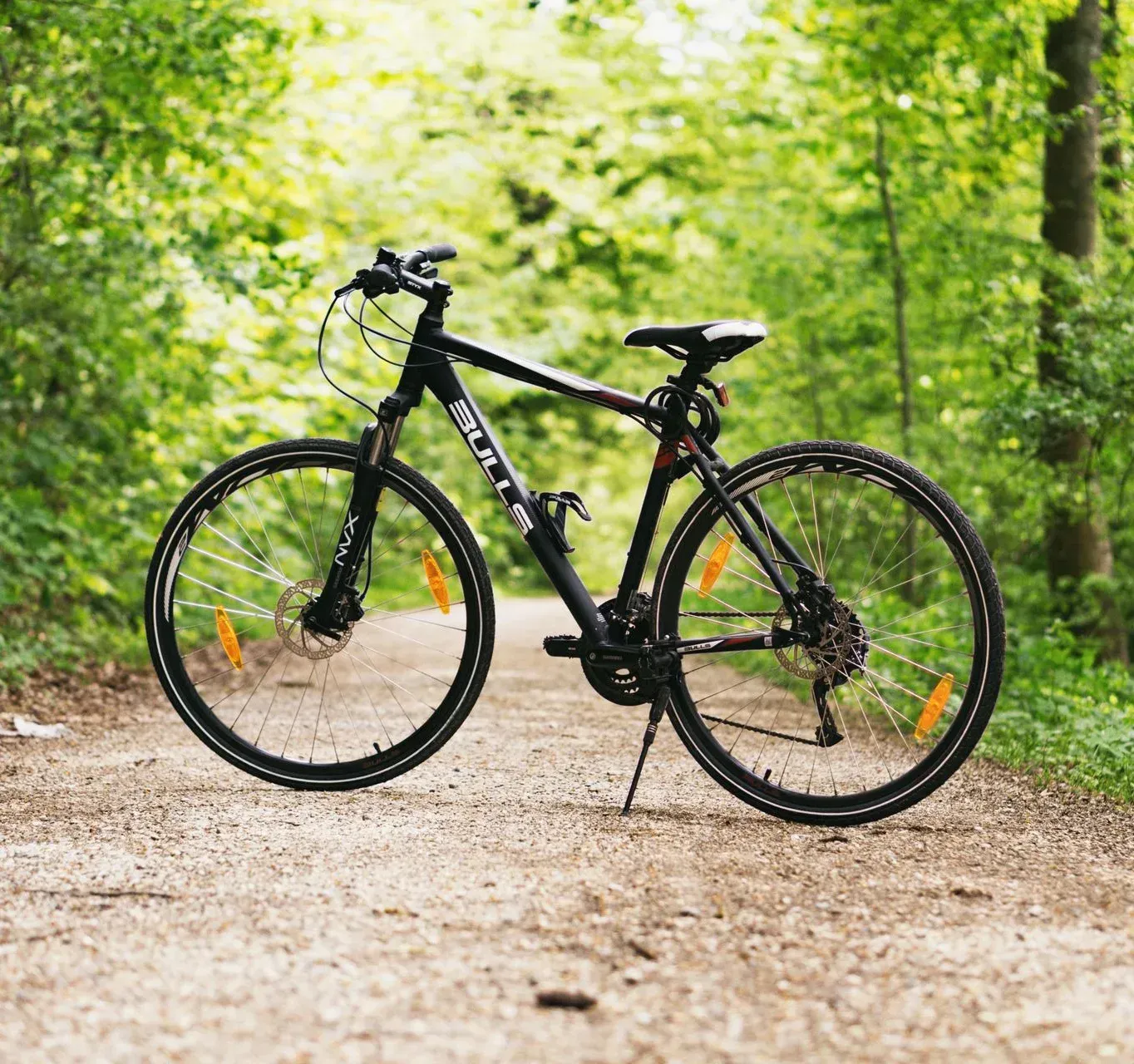 Una bicicleta negra está estacionada en un camino de tierra en el bosque.