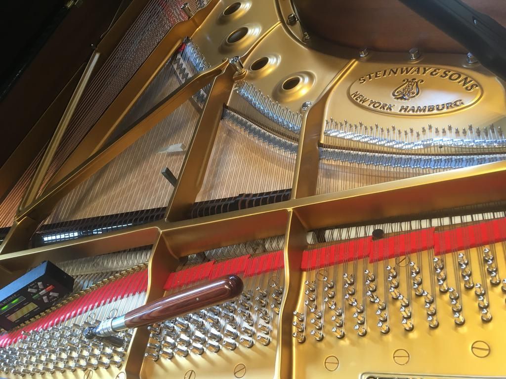 Innenansicht eines Steinway & Sons Flügels, zu sehen sind Saiten, Resonanzboden und Stimmschlüssel.