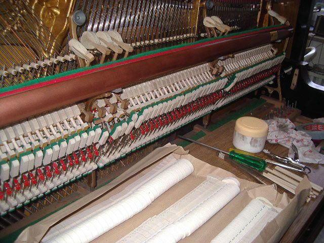 Die innere Mechanik des Klaviers: Hämmer, Saiten und Dämpfer wurden bei der Reparatur freigelegt. Weiß-, Grün- und Kupfertöne dominieren.