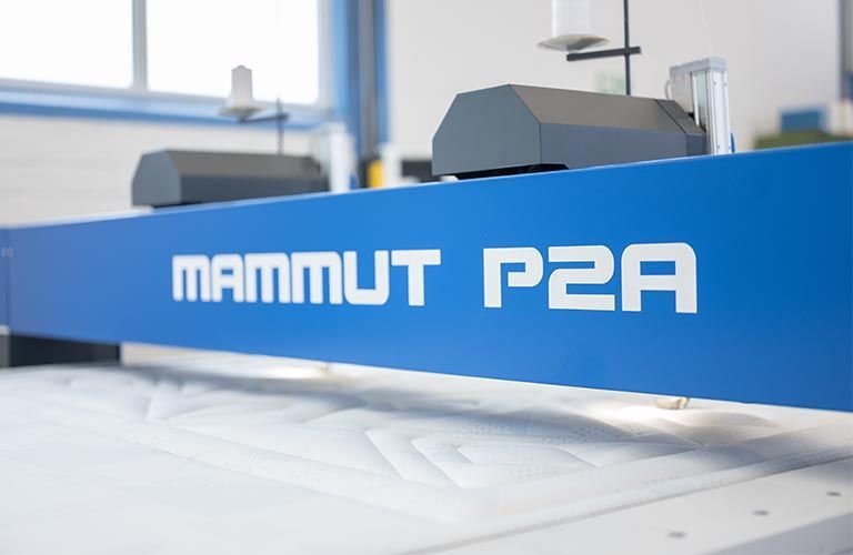Ein blaues Schild mit der Aufschrift „Mammut P2A“