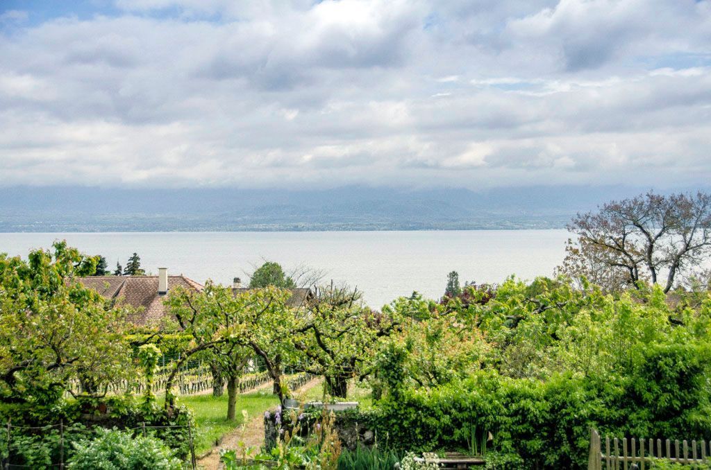 Auberge de Dully - Hôtel à Dully - Maison