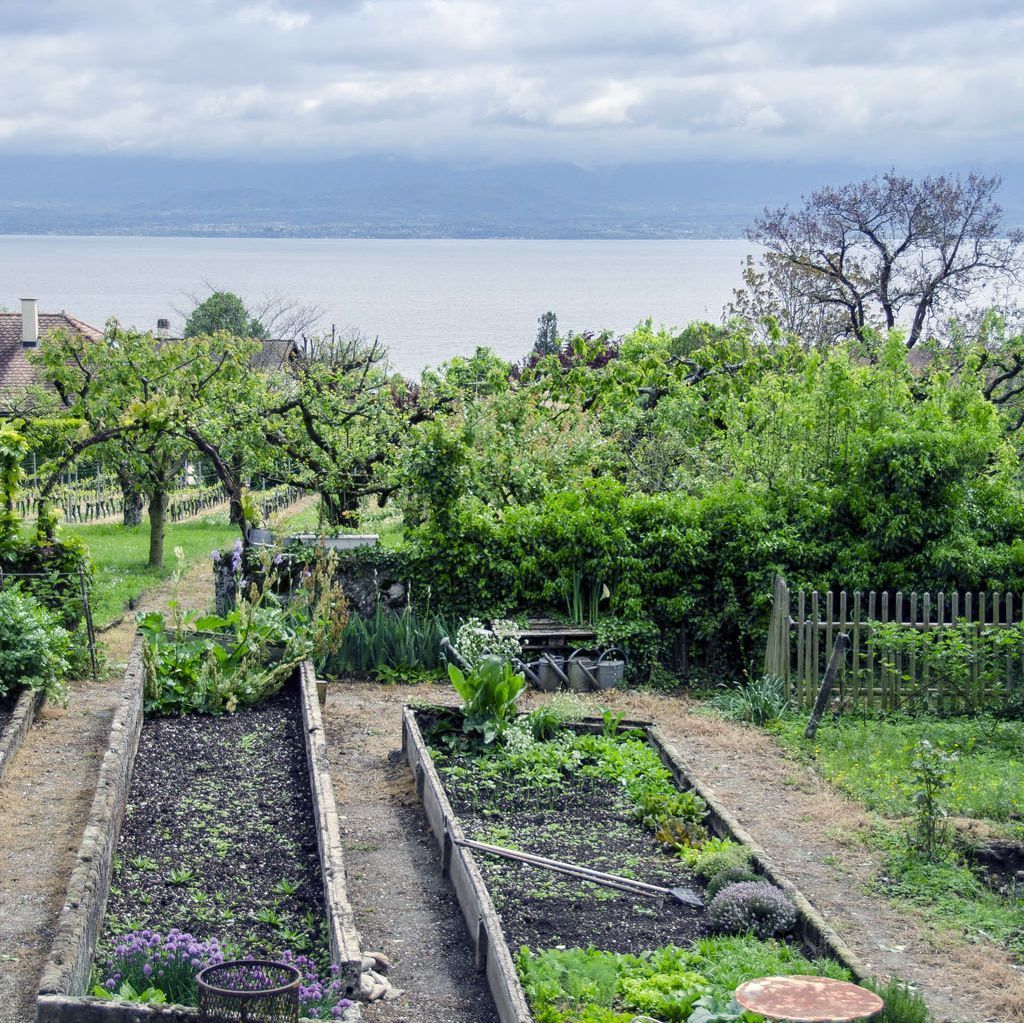 Auberge de Dully - Hôtel à Dully - Maison