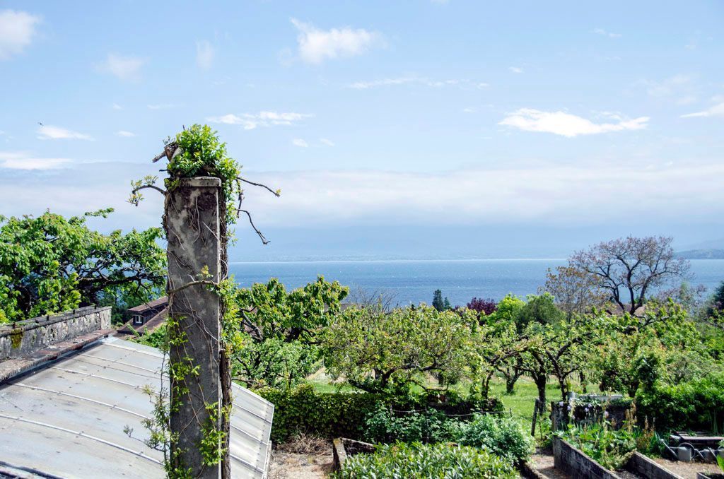 Auberge de Dully - Hôtel à Dully - vue