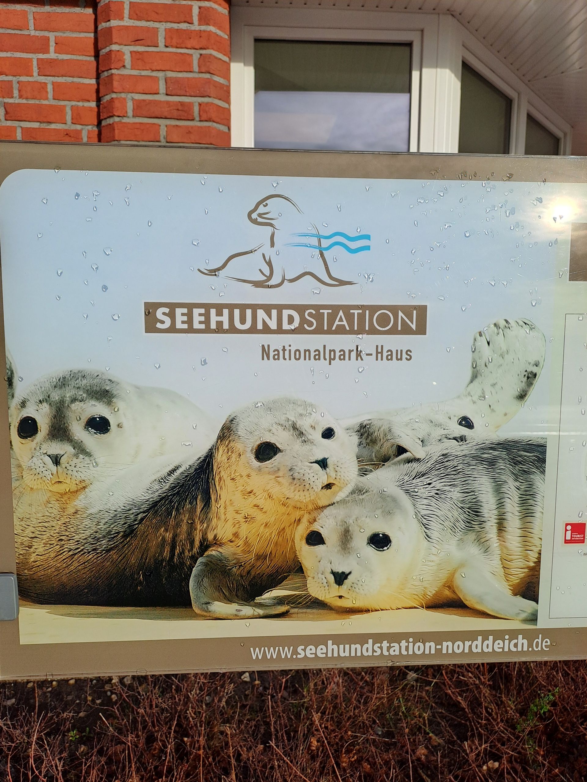 Seehundstation