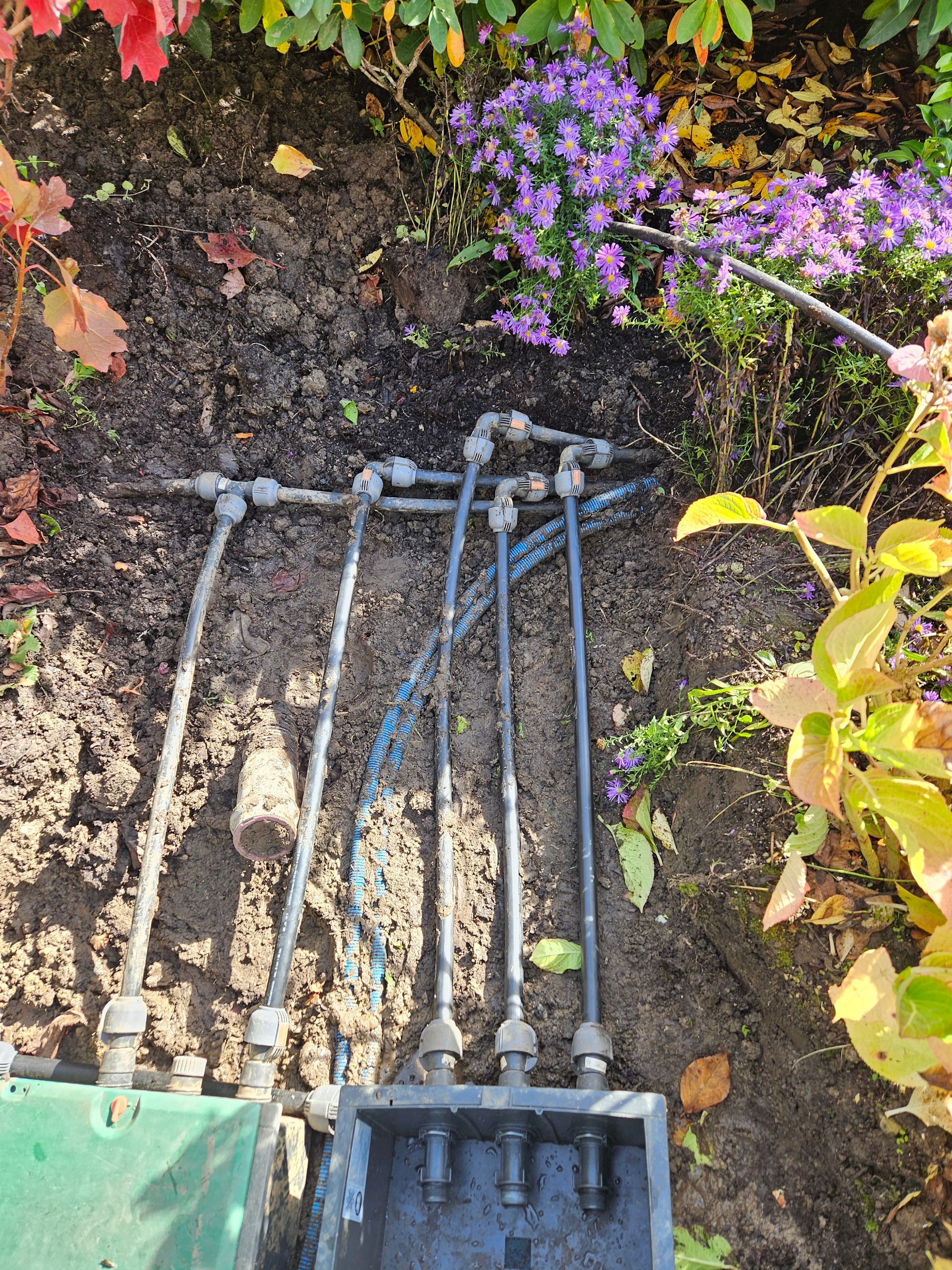 Gartenbewässerungsrohre an einer Erdwand, darüber lila Blüten und rechts grüne Blätter.