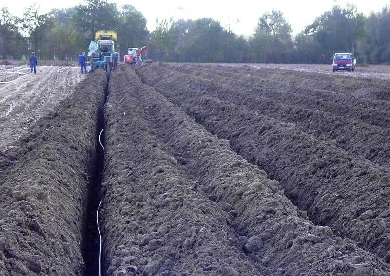 PE-Sole in der Landwirtschaft 2