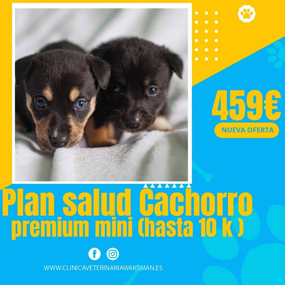 PLAN SALUD CACHORRO LOW COST (PERRO)