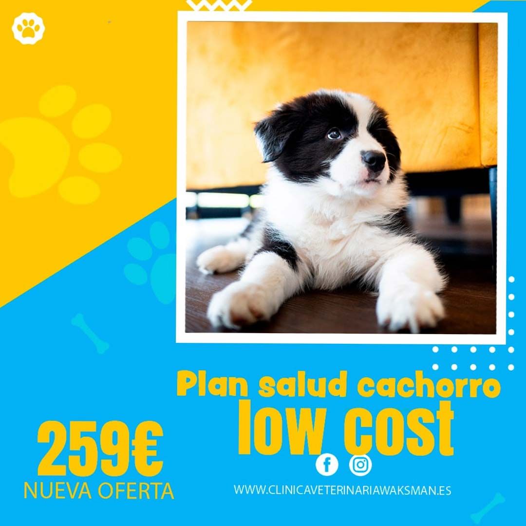 PLAN SALUD CACHORRO LOW COST (PERRO)