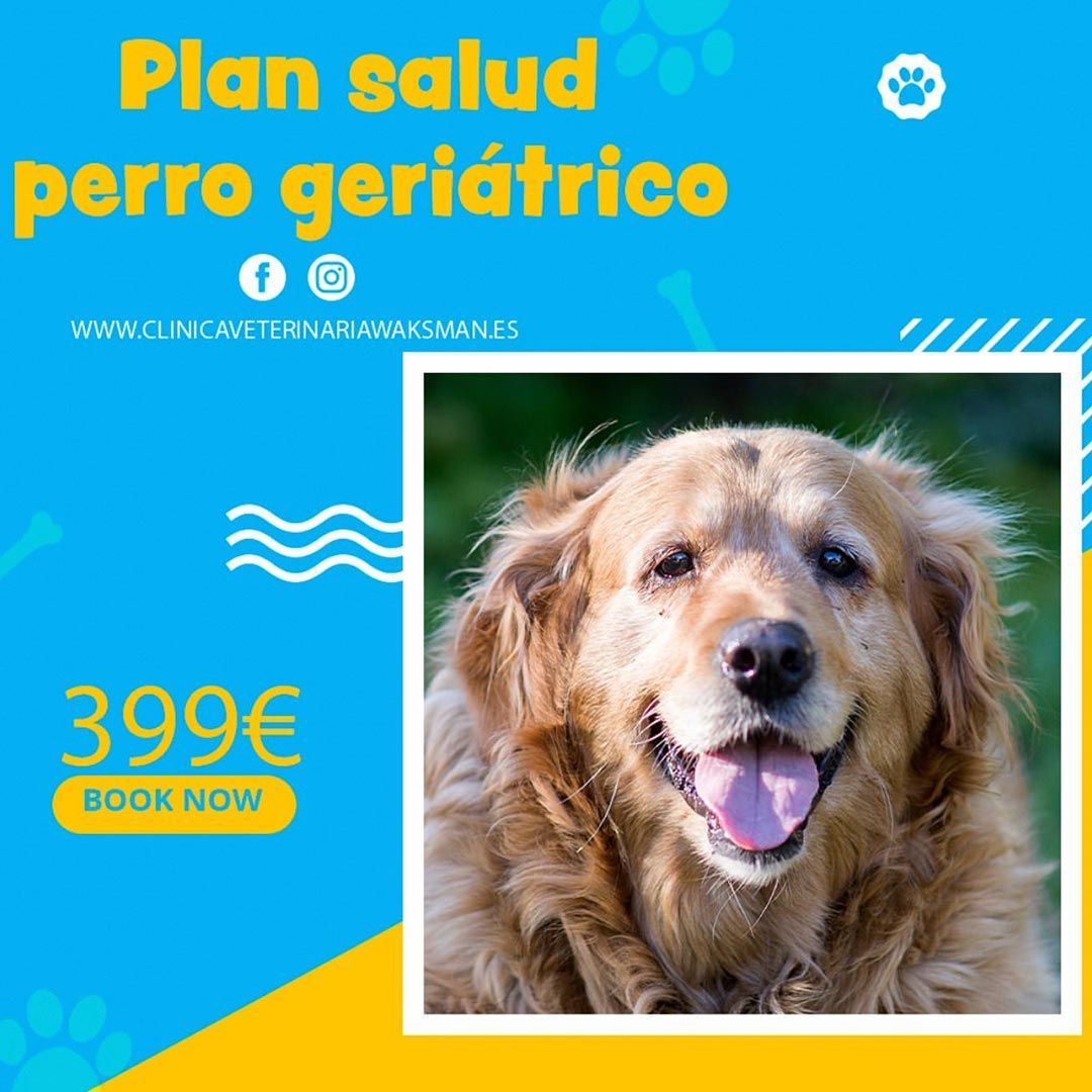 Plan salud geriátrico (perro)