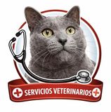 Dos personas con uniformes rosas acarician a un perro en una mesa veterinaria en una sala de exámenes.