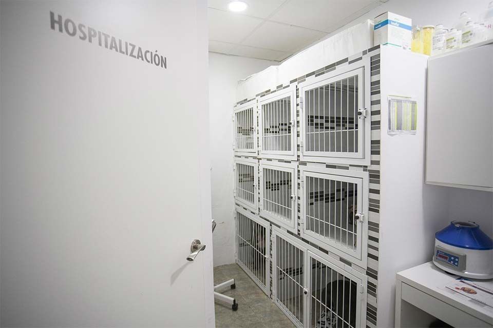 Habitación de hospital con jaulas blancas para animales; la puerta dice