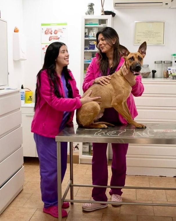 Dos mujeres con uniformes de color rosa y morado acarician a un perro de color canela en una mesa de examen en una clínica veterinaria.