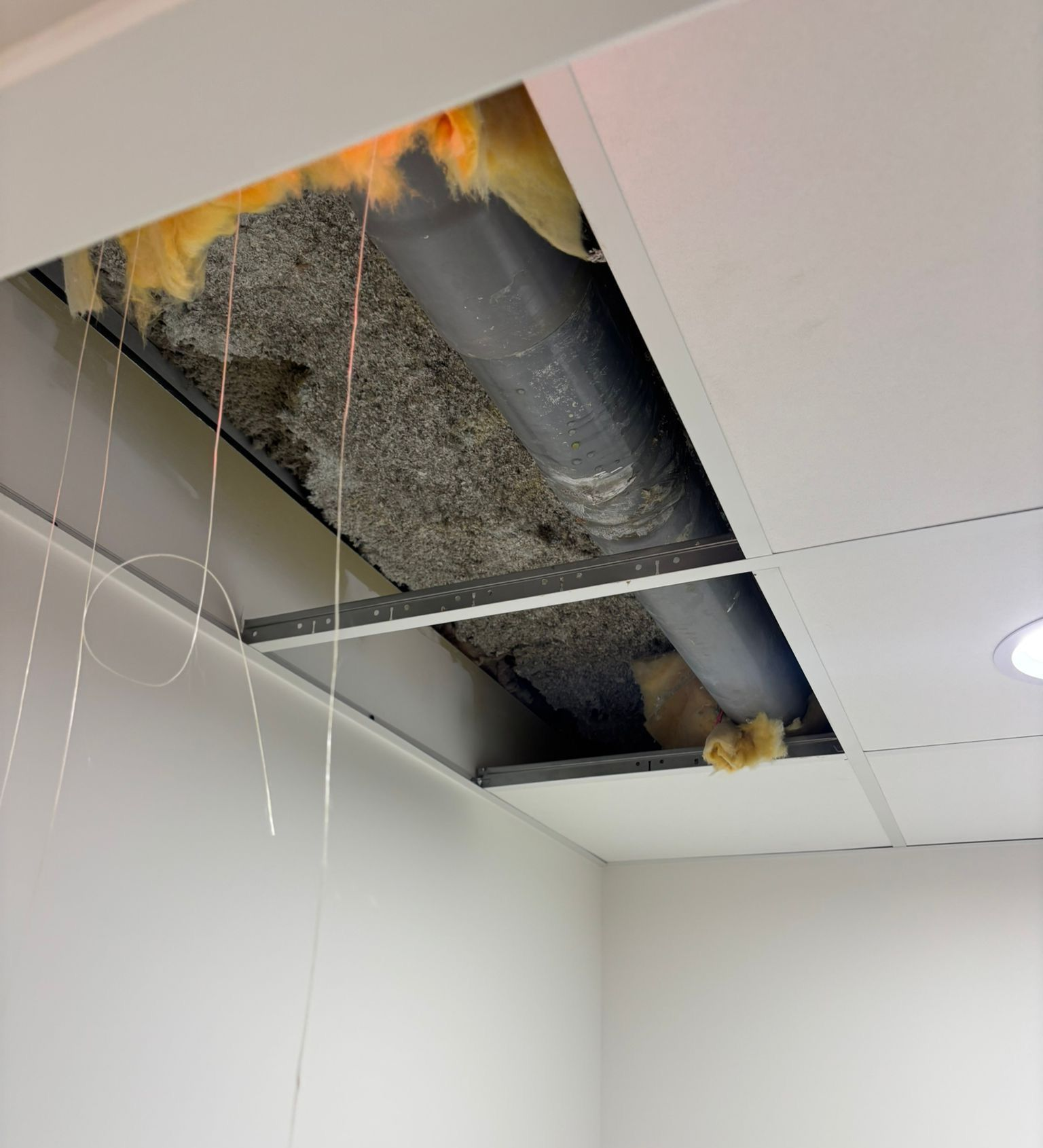 Les dalles du plafond sont ouvertes, laissant apparaître les conduits et l'isolant. Des fils électriques pendent.