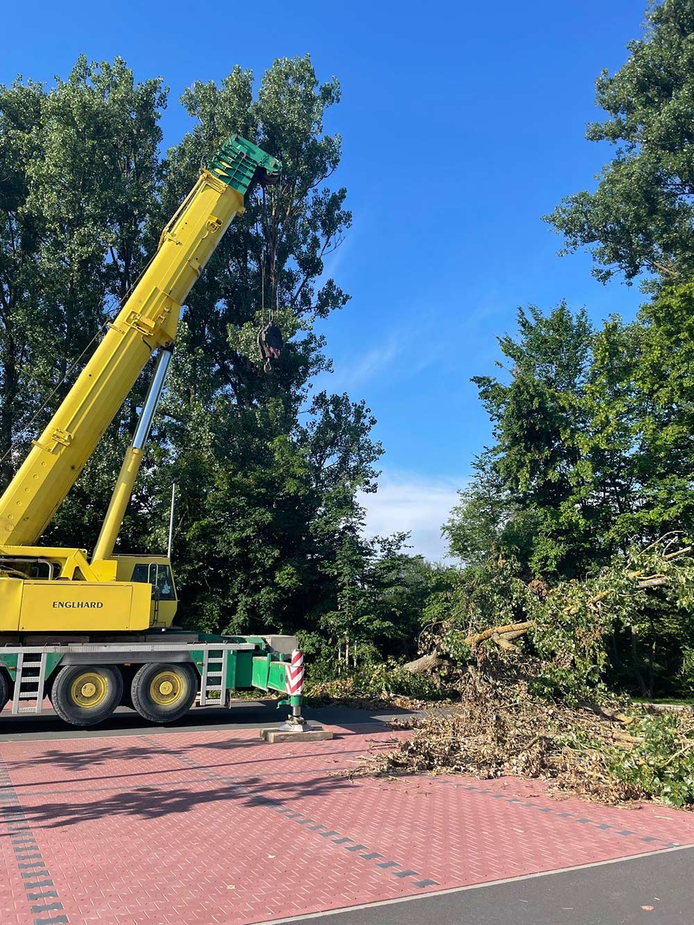 Ein gelber Kran schneidet einen Baum auf einem gepflasterten Platz. Ein Haufen abgeschnittener Äste liegt neben einer Person auf dem Boden.