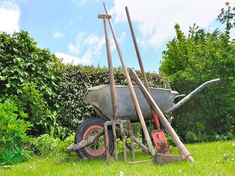 Gartengeräte (Gabel, Schaufel, Hacke) an eine Schubkarre gelehnt auf einer Rasenfläche, im Hintergrund eine grüne Hecke.