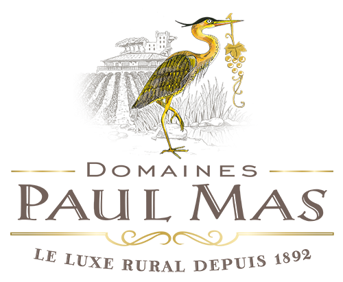 logo Domaines Paul Mas