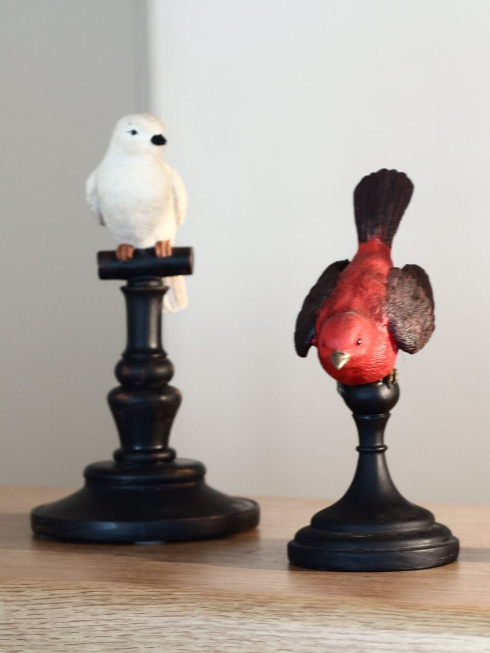 Oiseau rouge et oiseau blanc sur perchoir
