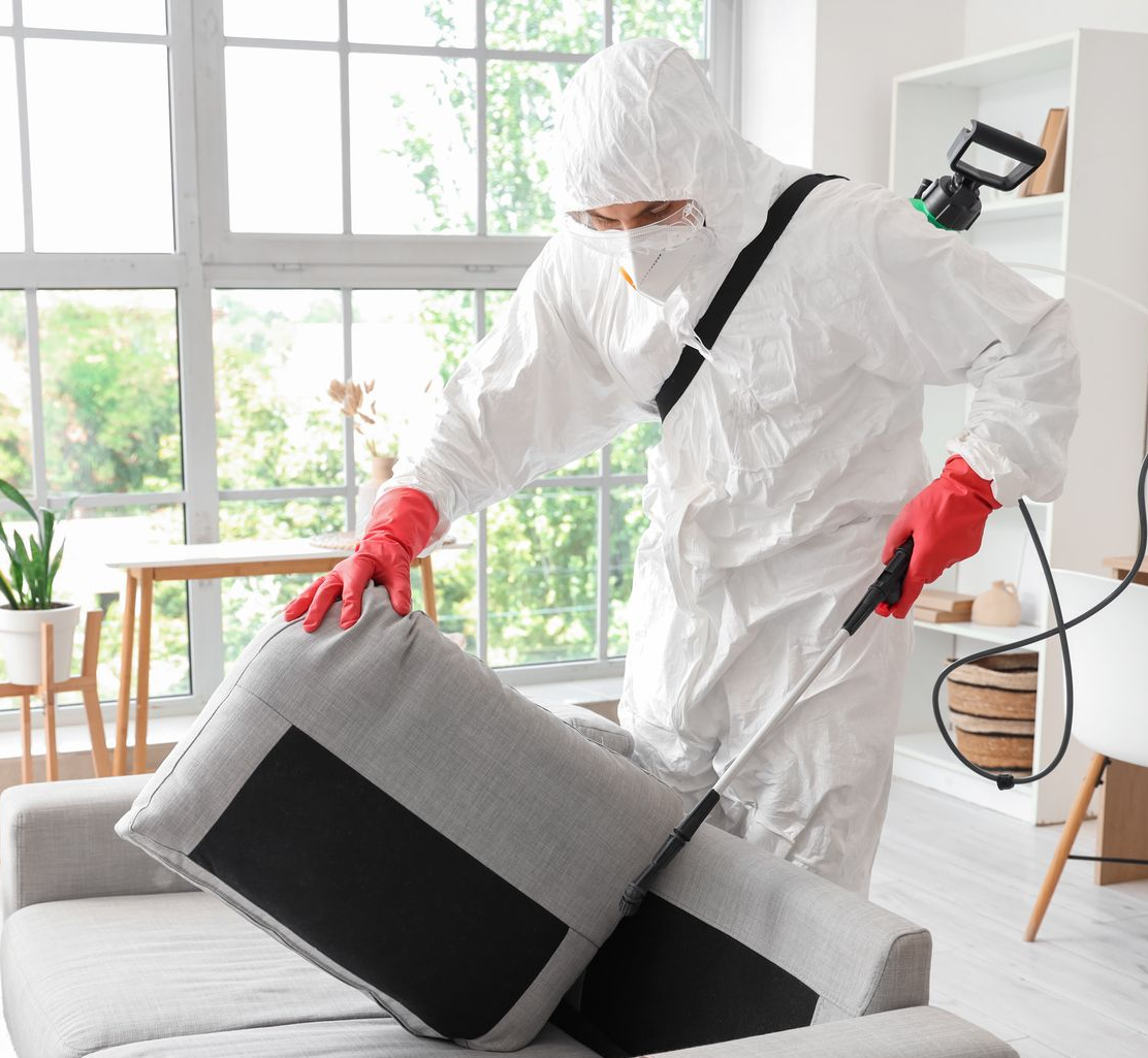 Un professionnel vaporise du désinfectant sur un coussin de canapé gris dans une pièce lumineuse.