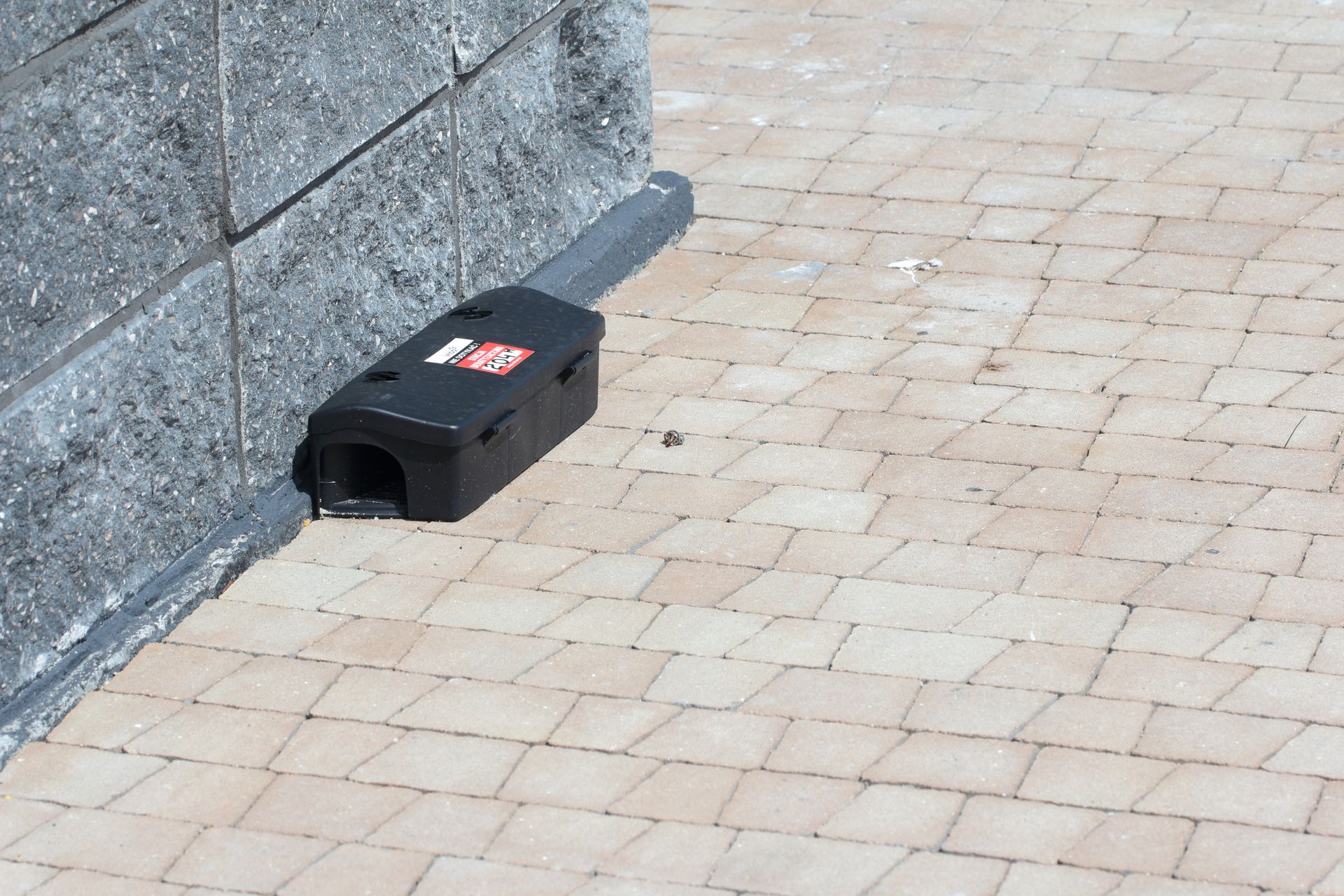 Un poste d'appât pour rongeurs.