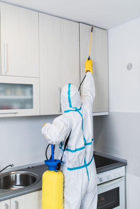 Application de traitement insecticide.
