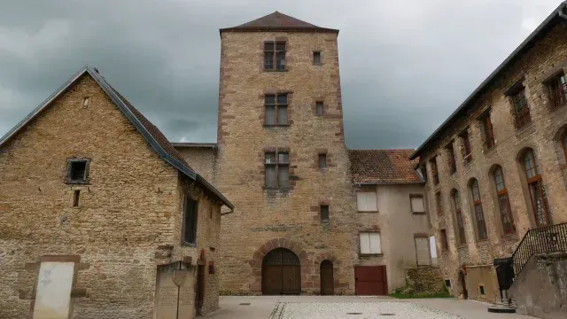 Traitement antinuisible à Héricourt