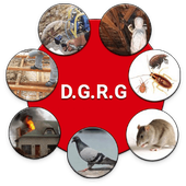 Logo de DGRG.