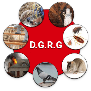 Logo de DGRG.