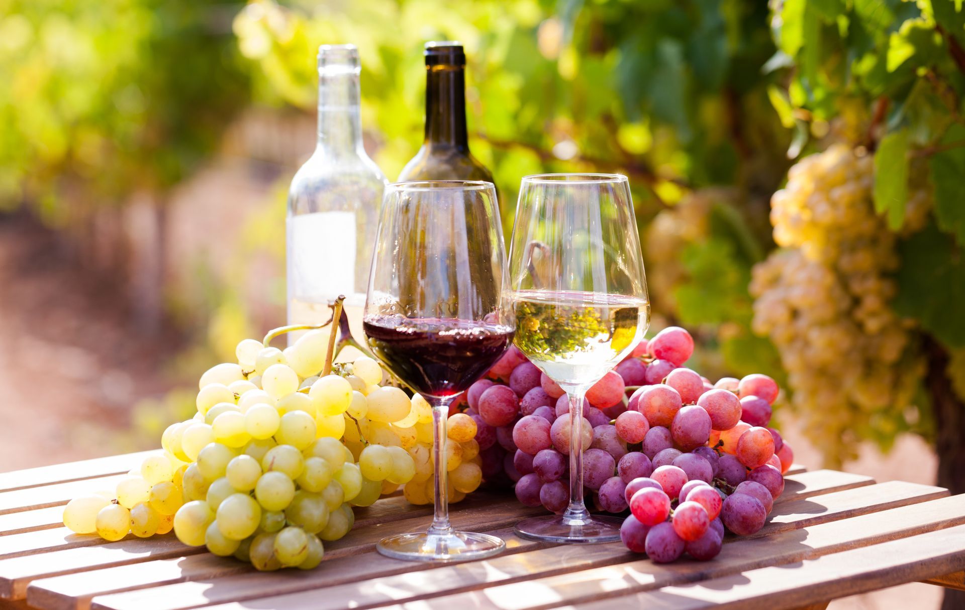 Deux verres de vin, des grappes de raisin et des vignes en arrière-plan