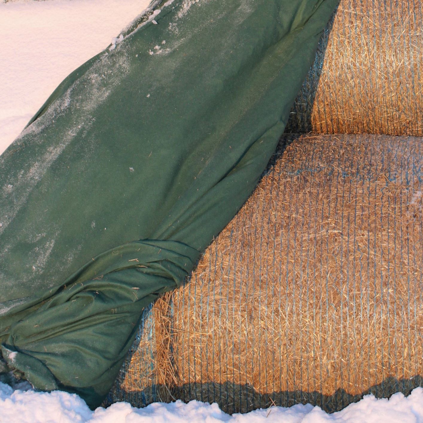 Flortex-paalipeite suojaa ympäri vuoden.