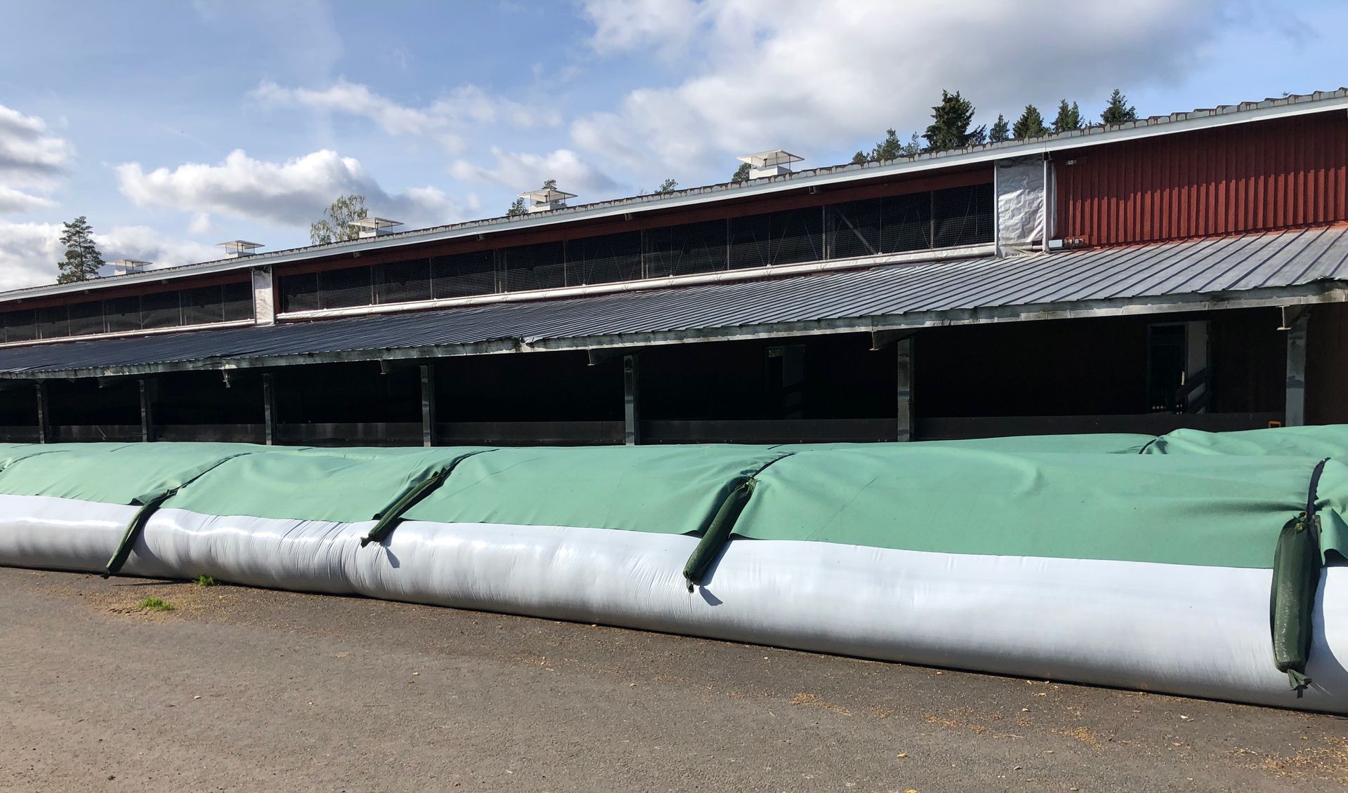 Viljatuubin suojaus Flortex-painopeitteellä