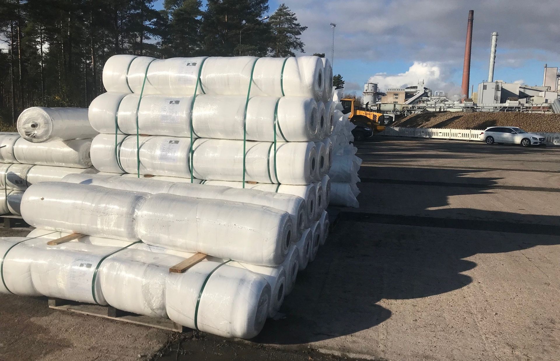 Flortex juurikaspeite