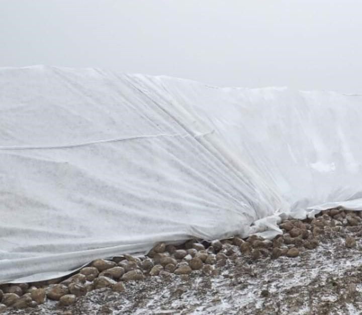 Paras sokerijuurikaspeite