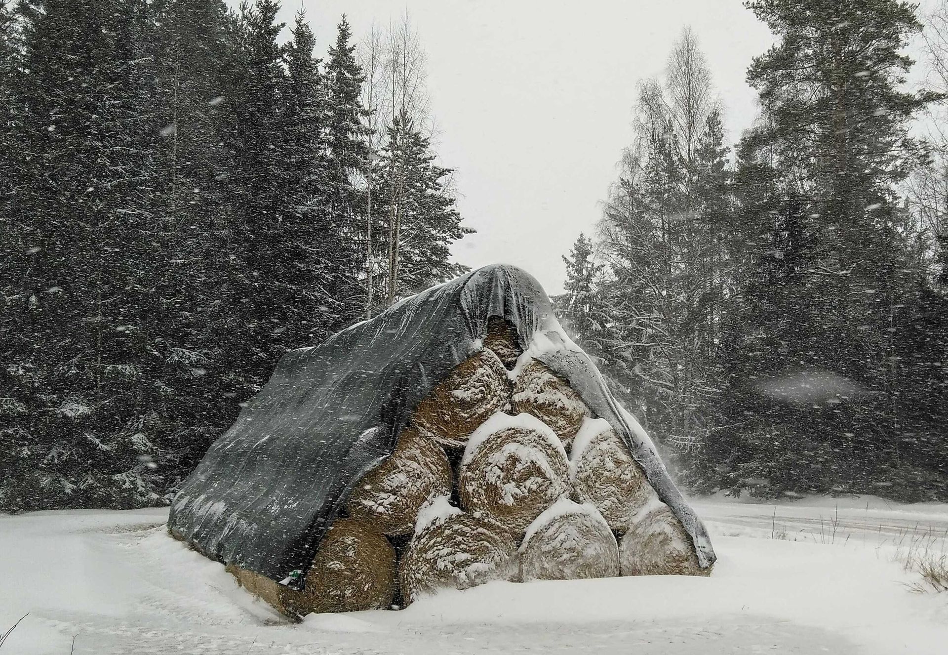 Paalipeite läpäisee tuulta.