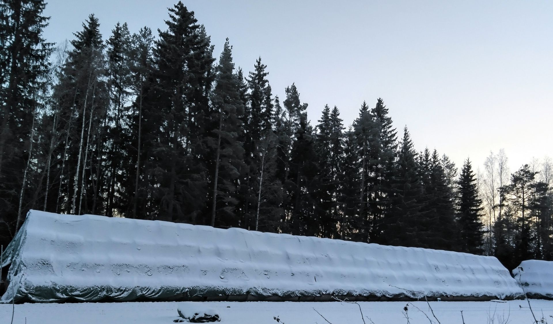 Flortex® haihduttaa kosteutta ja suojaa kelillä kuin kelillä.