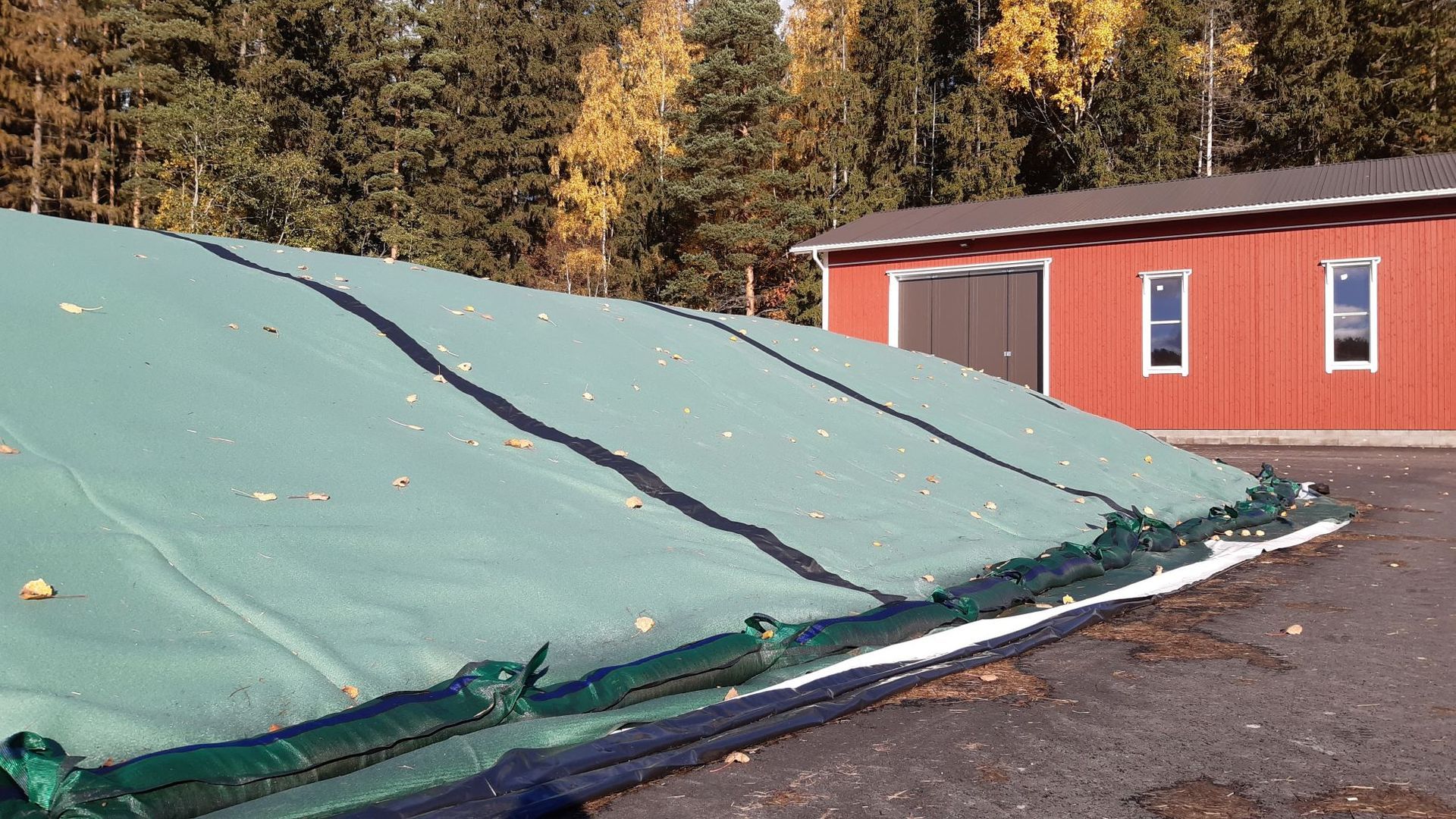 Flortex-painopeite aumalle.