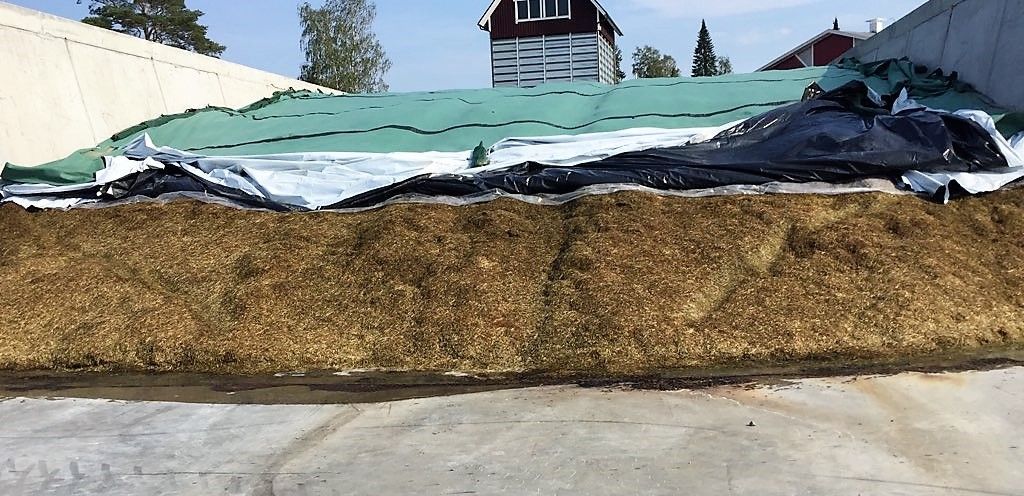 Flortex-painopeite 500 g/m² laadukasta säilörehua