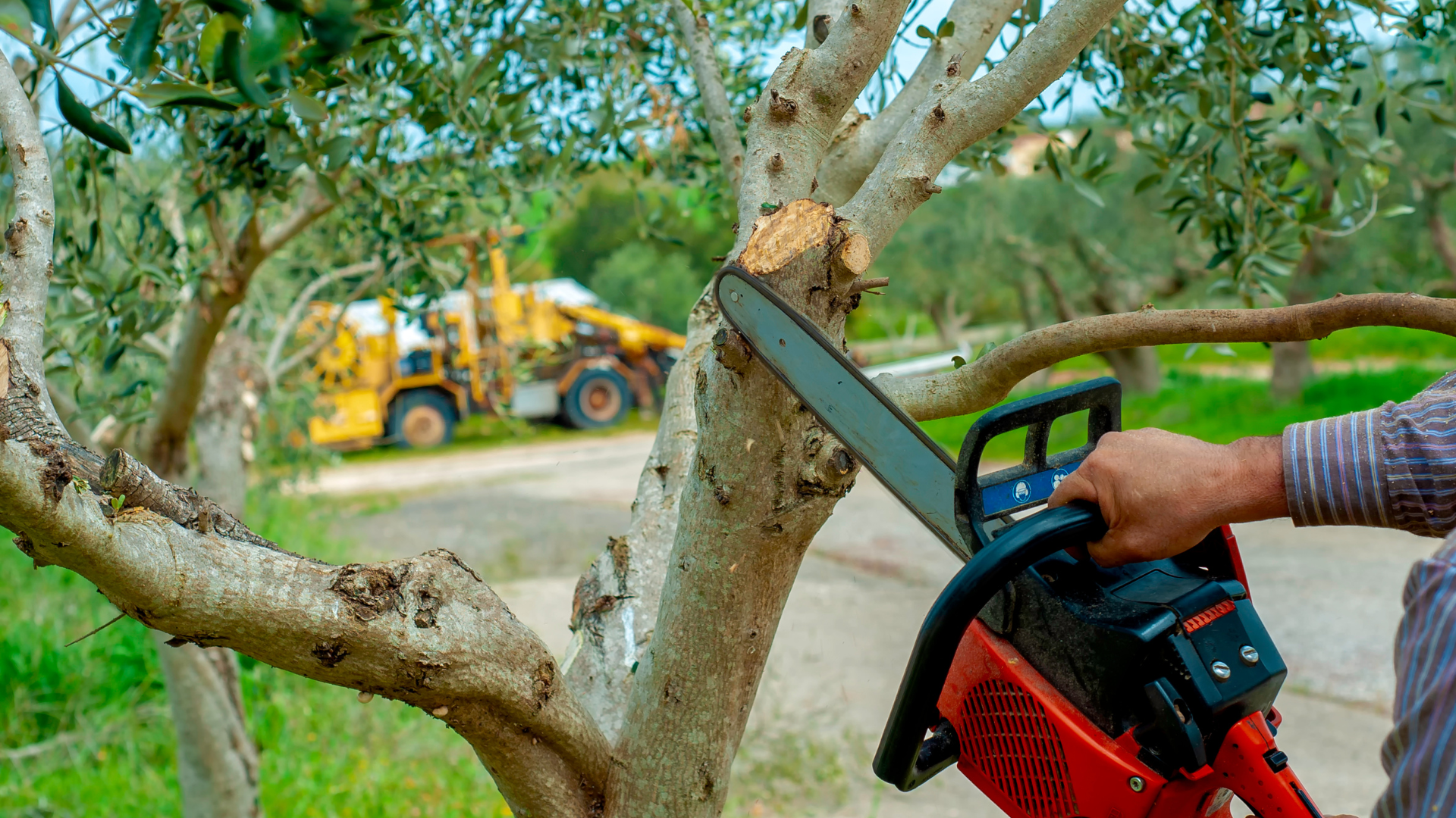 Une personne utilise une tronçonneuse pour couper une branche d'arbre, un tracteur jaune en arrière-plan.