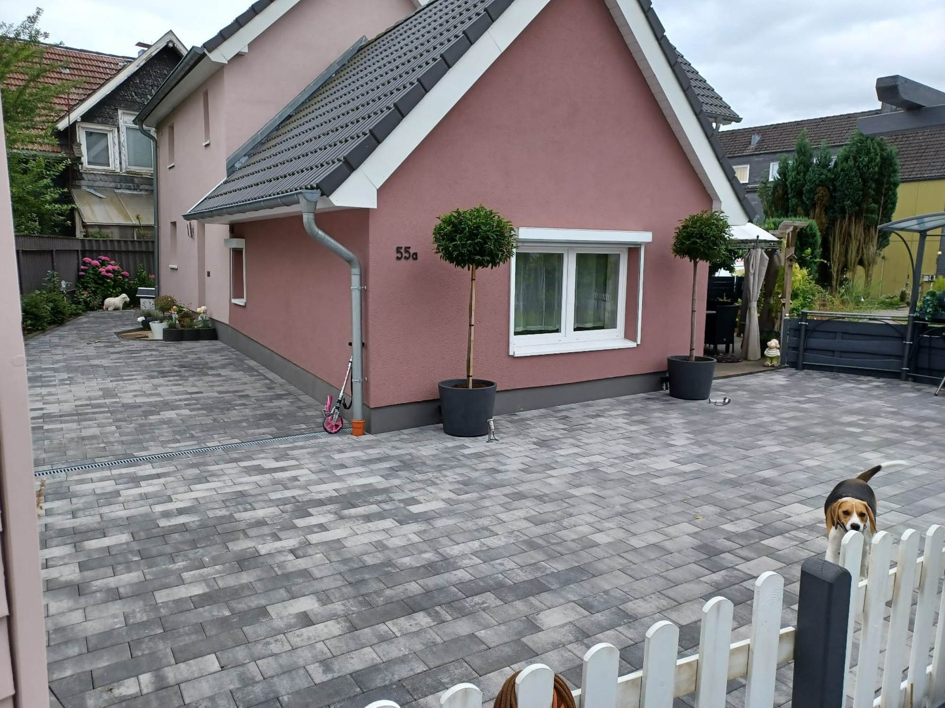 Ein Hund steht vor einem rosa Haus