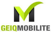Logo de l'entreprise GEIQ Mobilité Hauts de France