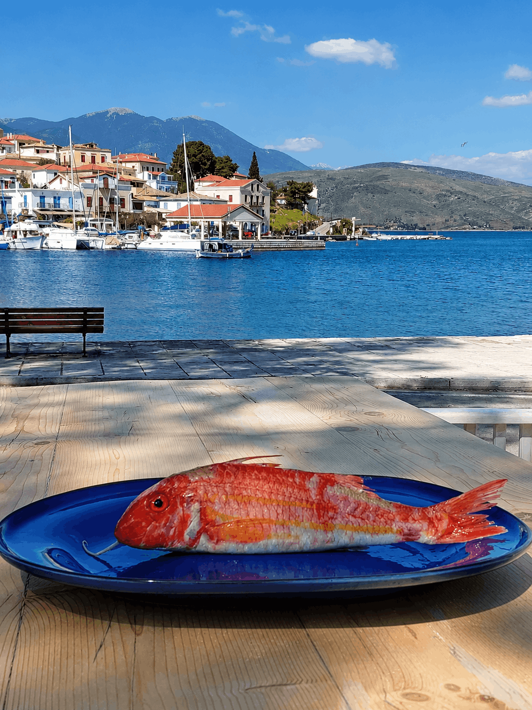 Κόκκινα ψάρια σε ένα μπλε πιάτο δίπλα σε ένα παραθαλάσσιο λιμάνι με βουνά στο φόντο.